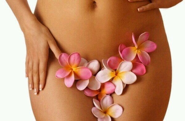 фото взято из открытого источника