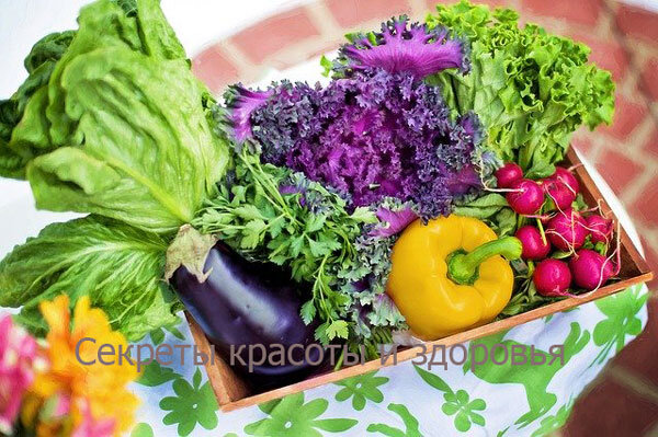 Источник: pixabay.com