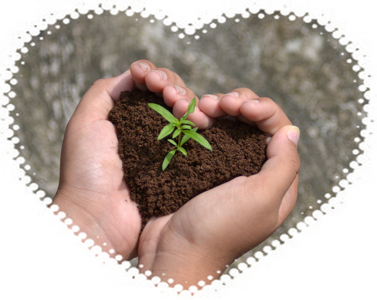 yandex.ru/images (в обработке автора)