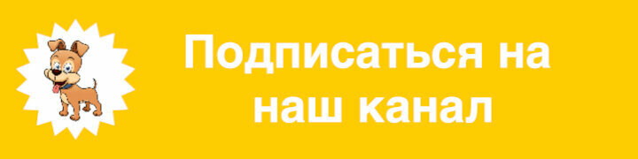 Канал - Профессионально о собаках