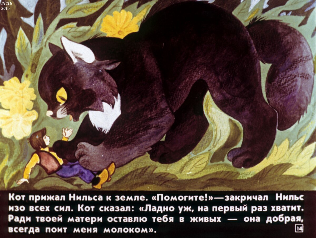 Чудесное путешествие Нильса с дикими гусями. Ч.1 / С. Лагерлеф; худож. В. Кульков.- Москва : Диафильм, 1989.