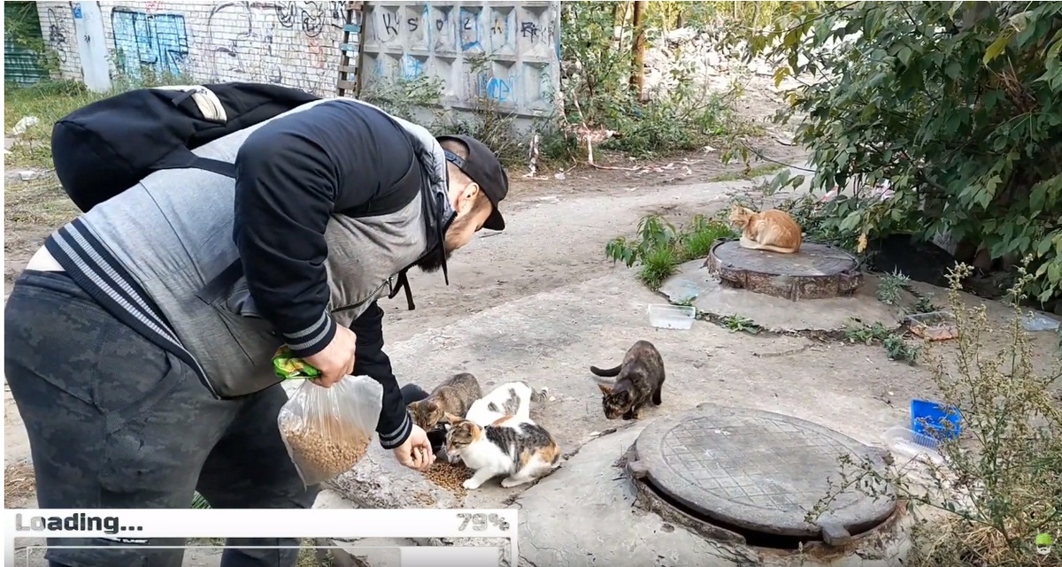 "братва халява"