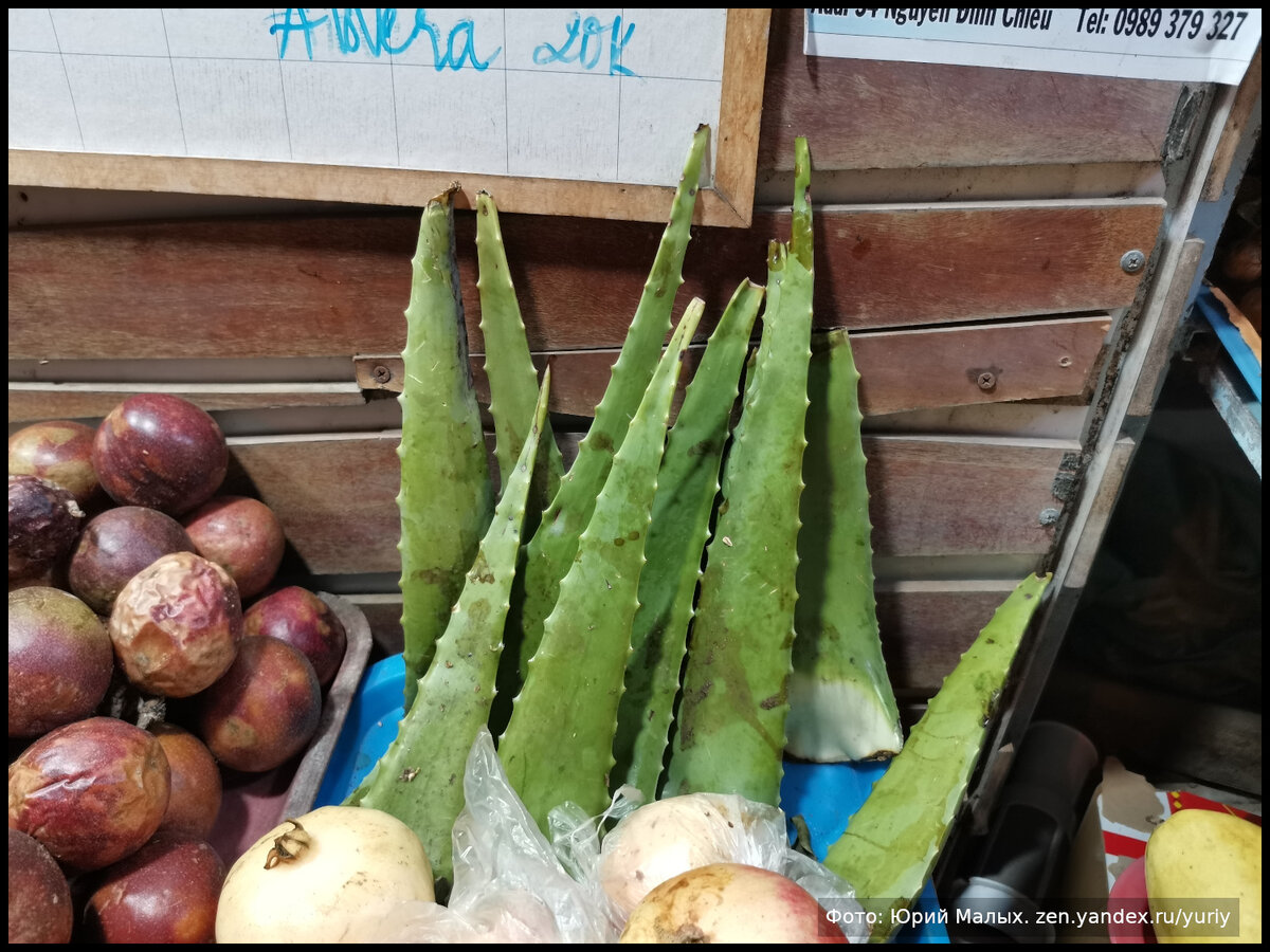 Лучший друг Белоснежки - лист алое 