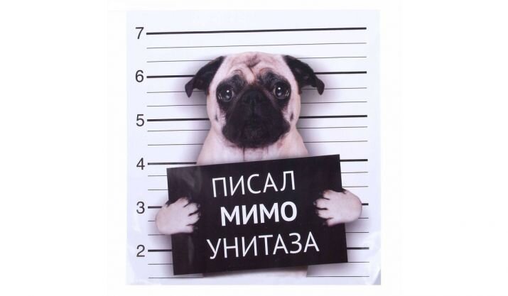 Фото из открытого источника