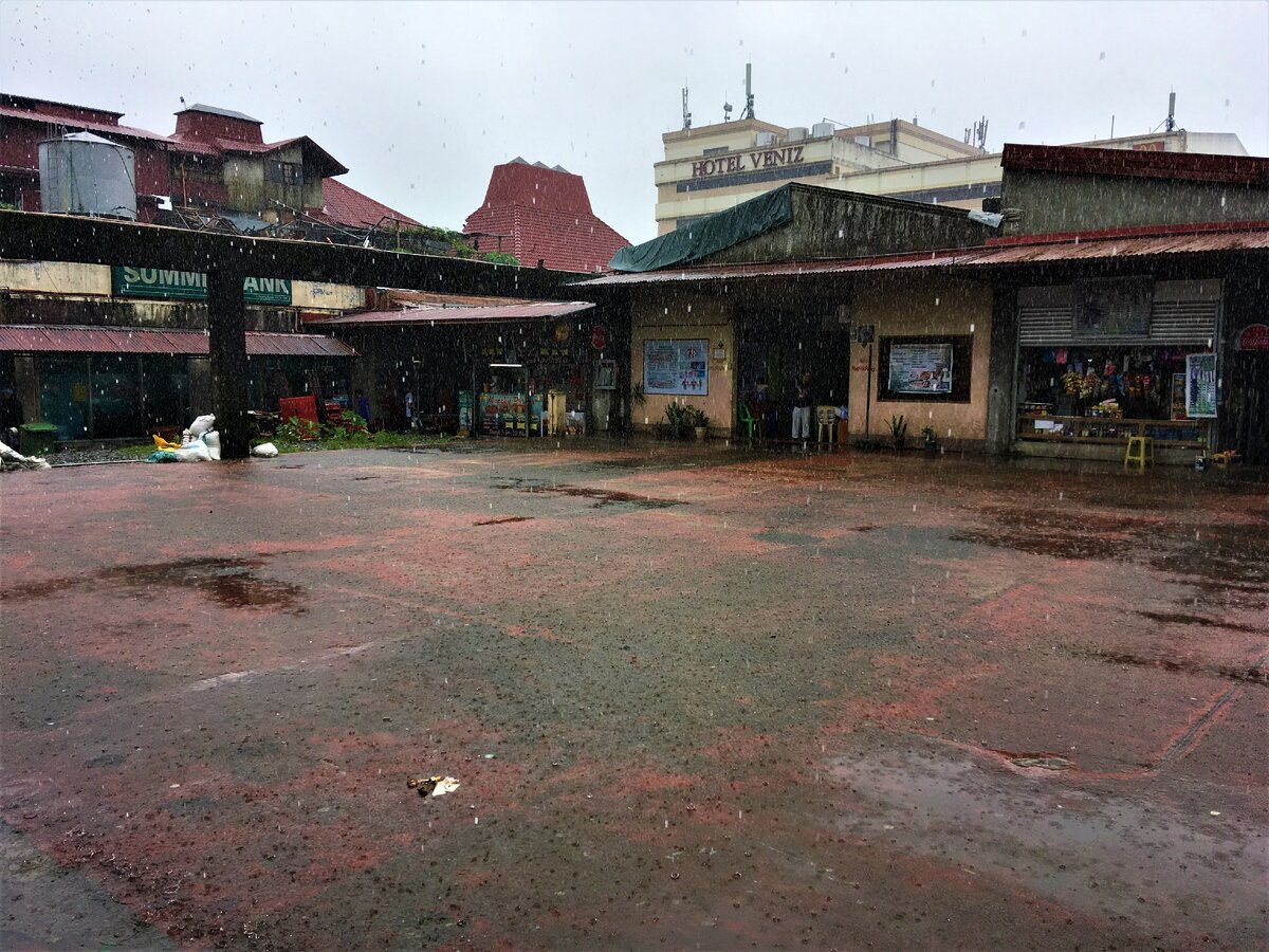 Огромные капли дождя можно разглядеть даже на фото. 