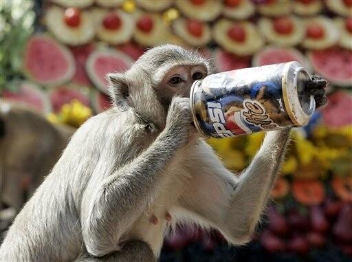 Фото Яндекс картинки