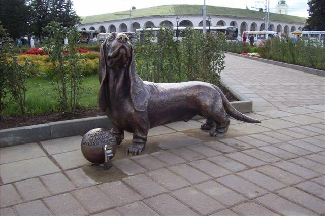 Собаке герою кострома сусанинская площадь фото Собаке герою кострома сусанинская площадь фото