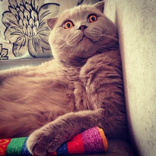 Вот таким был наш Боня...