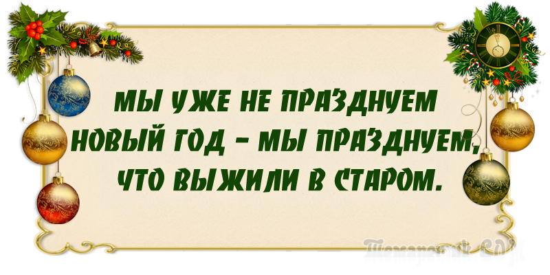 Предыдущий год. Цитаты про новый год. Афоризмы к новому году. Высказывания про новый год. Новогодние цитаты смешные.