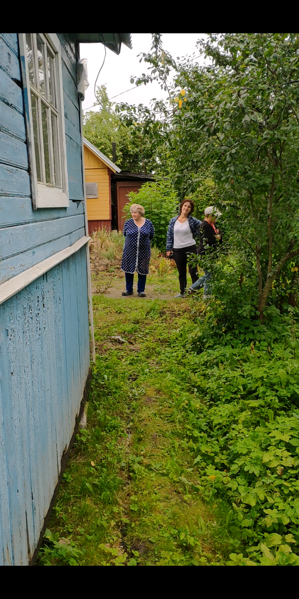 Слева направо: бабка, затесавшаяся в ревизионную комиссию(несобственница) , соседка, отрезавшая провода(несобственница) , бездетная крикунья, непонятно как оказавшаяся в правлении. 