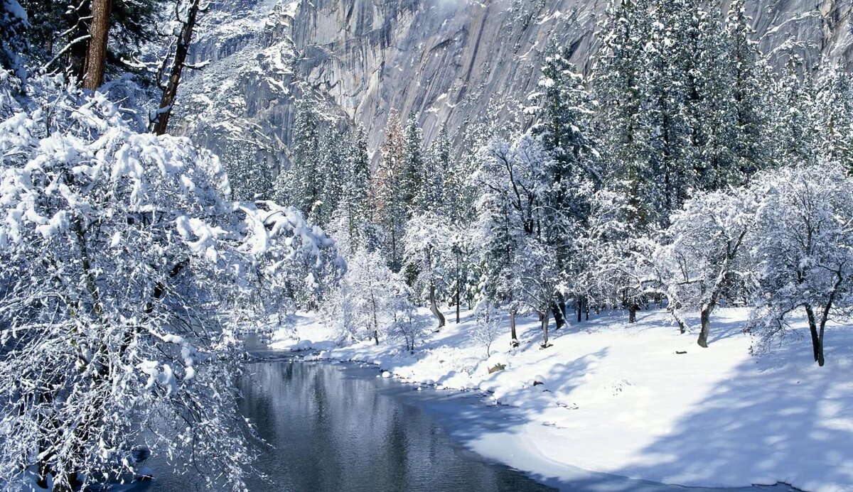 фото яндекс картинки