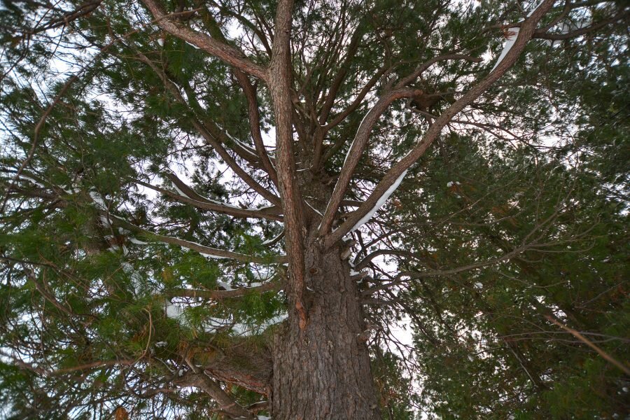 фото интернет