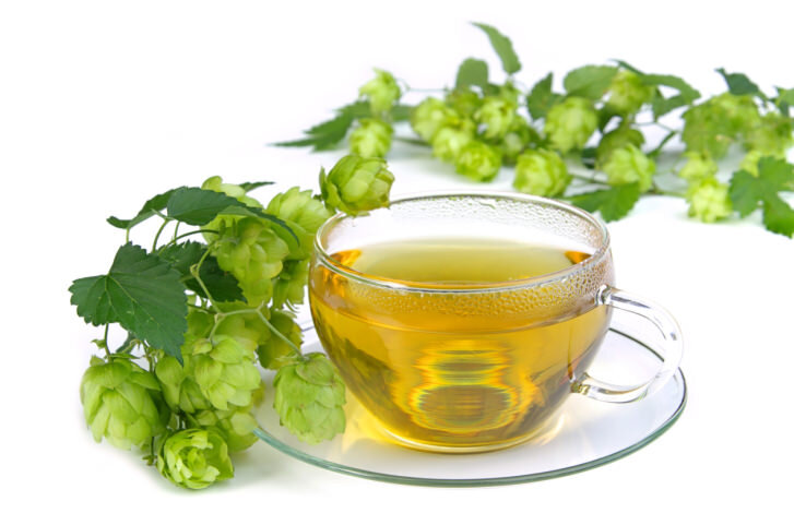 Infusion of hop cones