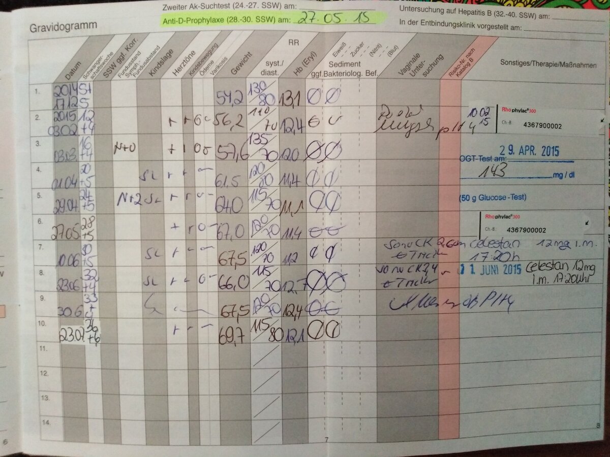 Mutterpass - как он выглядит внутри