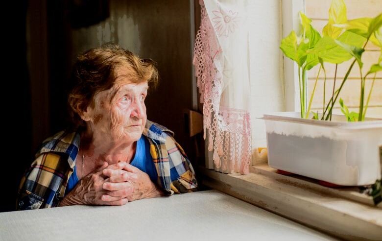 Фото из открытых источников.