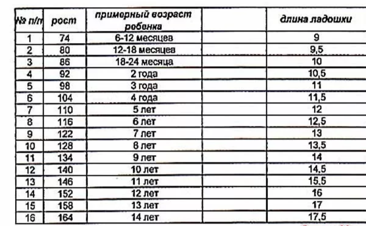 Размер варежек по возрасту. Размер ладони у детей по возрасту таблица. Размеры детских варежек таблица по возрасту. Размер рукавиц по возрасту. Обхват ладони у ребенка в год.