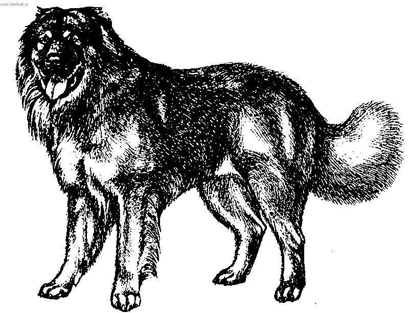 Яндекс картинки.