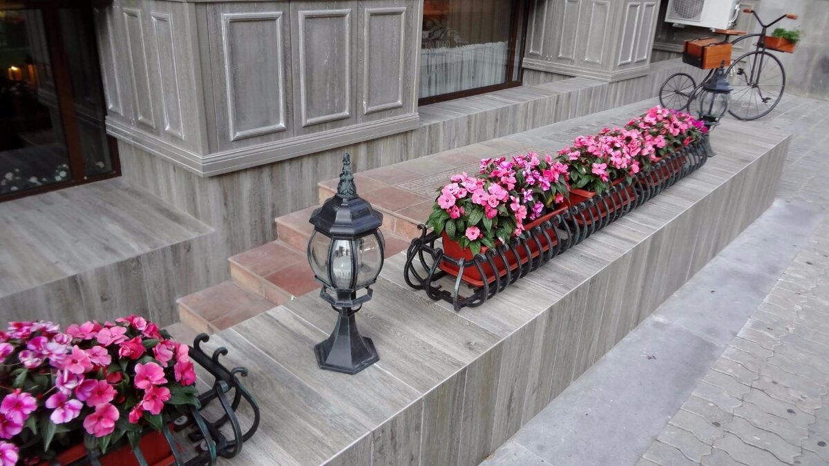 Цветник на улице Мира. 