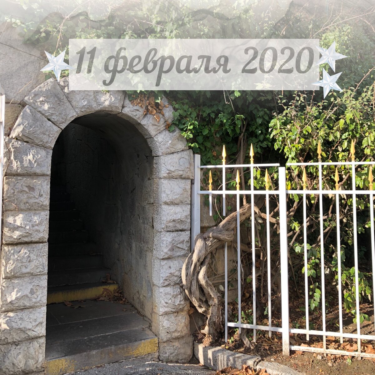 Второй продуктивный день недели, успеваем все