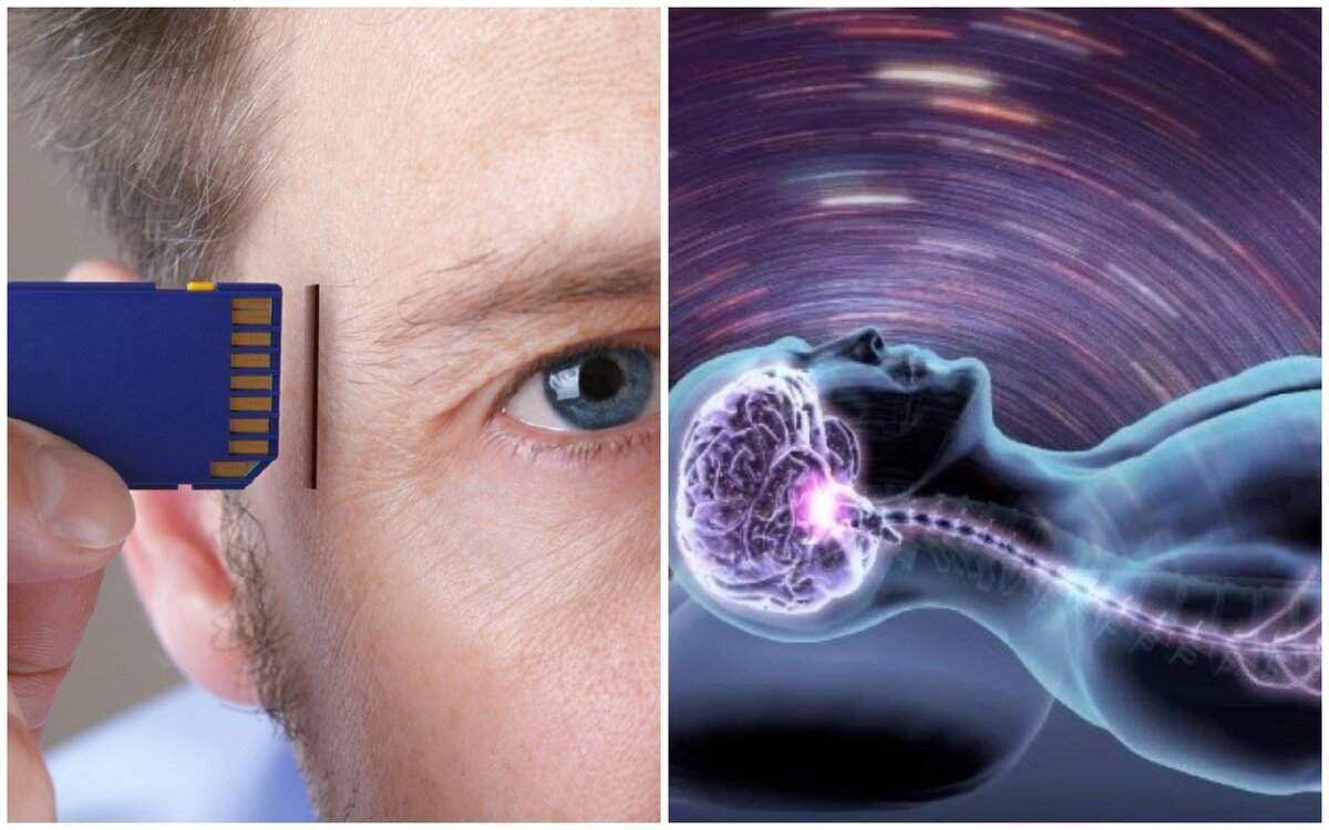 Человеческая память, иллюстрация