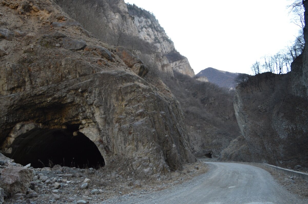 © МИР В ОБЪЕКТИВЕ/ СЕ ЧЕЛОВЕК 