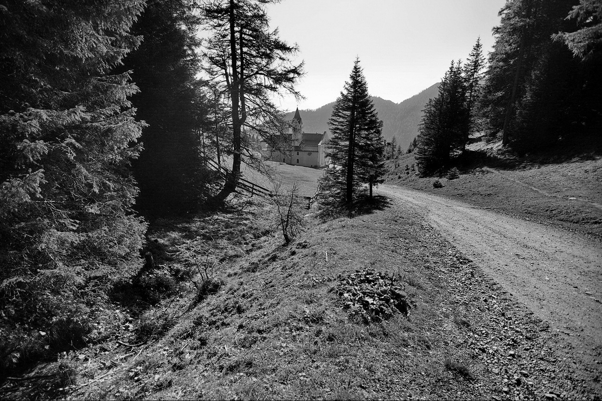 Фото автора.