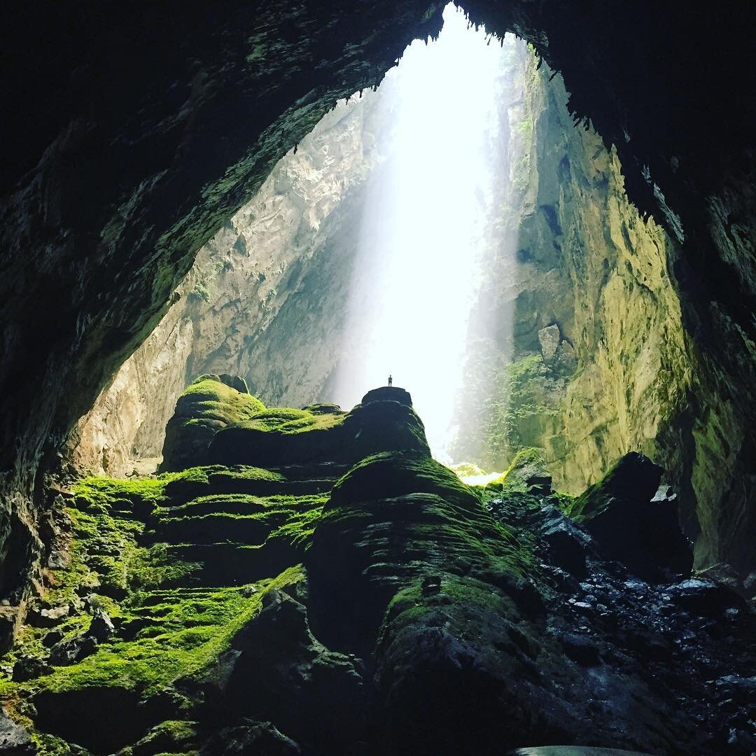 Фото: Instagram (@meredith.blackwell, @ngannguyen128, @quintonwall)