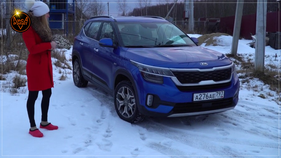Лиса Рулит. Kia Seltos