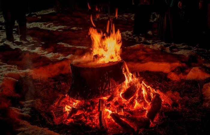  Как быстро и несложно удалить пень на участке, чтобы он не мозолил глаза