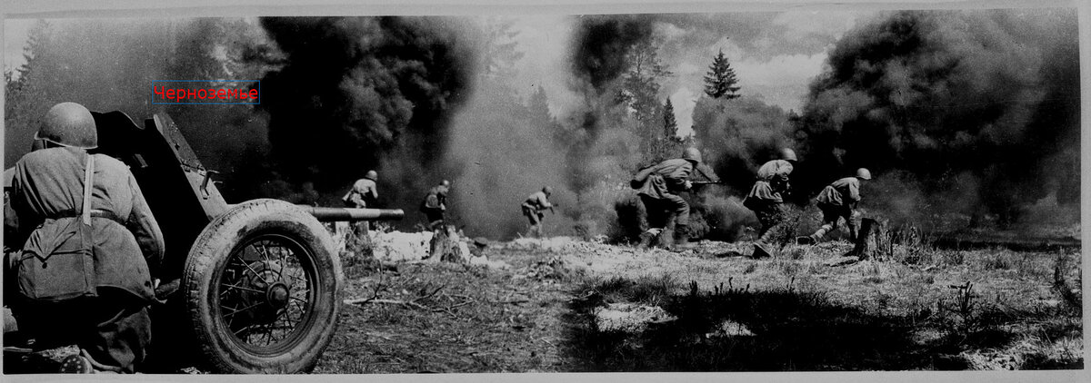 Фото из открытых источников яндекс картинки.Война.