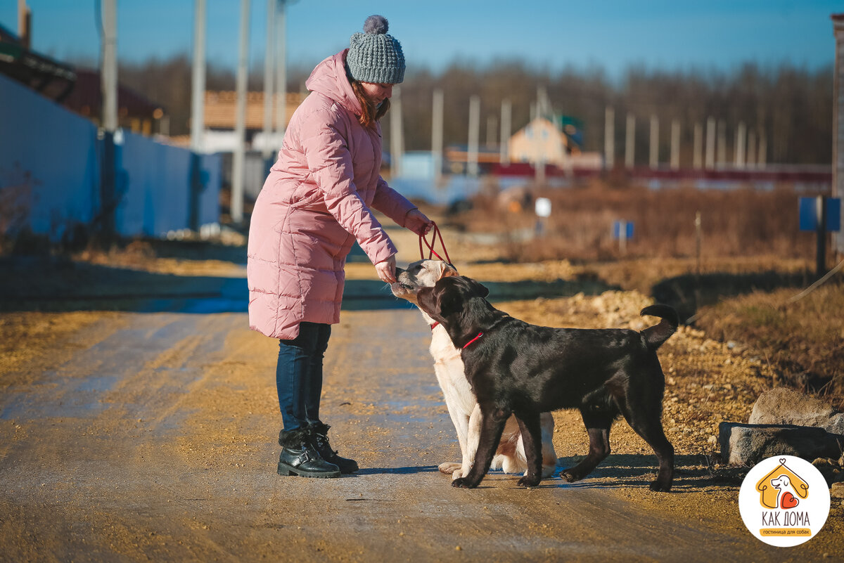 Привлечение внимания