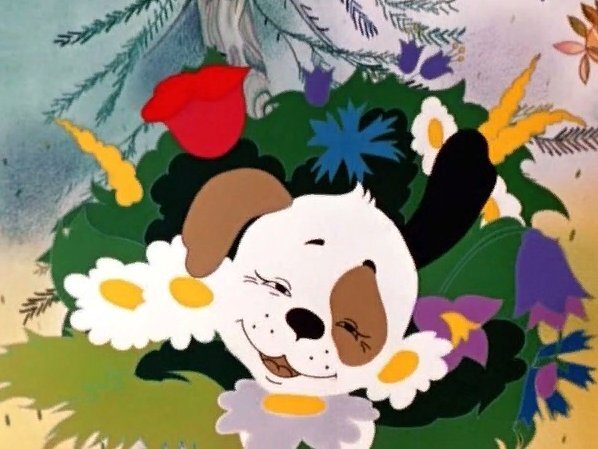 Мира! Добра! Ромашек!