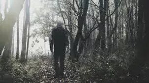  Как правило, рассказывают, что в 1904 году недалеко от этого моста было убежище. Жителям Клифтона не понравилась идея пациентов с психическими расстройствами возле их новых домов, поэтому они закрыли ее, и всех пациентов отвезли на автобусе в тюрьму Лортона. Во время трансфера один из автобусов разбился. Большинство пассажиров и водитель автобуса были убиты, но десять заключенных сбежали. После этого была организована поисковая группа, и были найдены все заключенные, кроме двух: Маркус Уолстер и Дуглас Дж. Грифон.