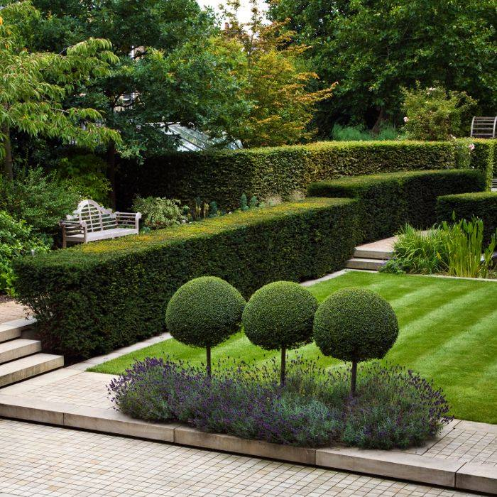 Фото из группы FB Your Landscape Architect 
