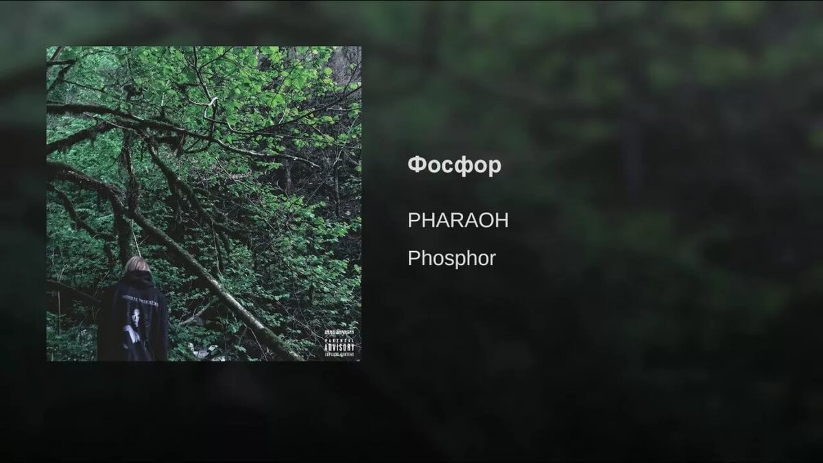 Песня я бы разложился на мкаде. Обложка альбома Phosphor. Фосфор альбом. Phosphor фараон. Фараон фосфор обложка.