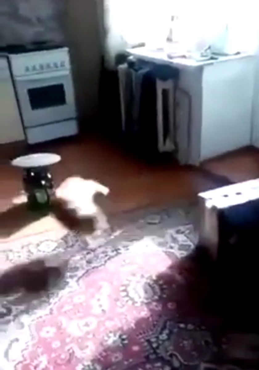 кадр из видео