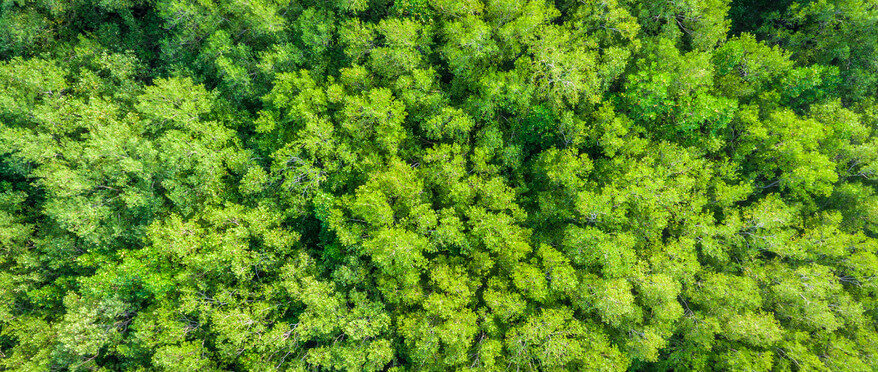 Чтобы иметь и сохранить желаемое, нужно обладать естественной уверенностью обладателя. Естественность в мыслях и действиях - есть гармония. 
