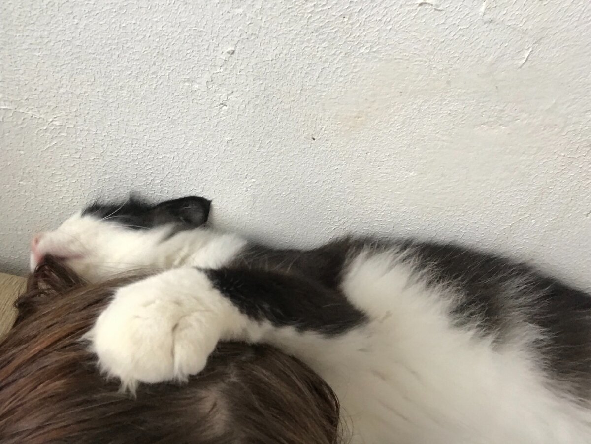 Винсент расчесывает Маму