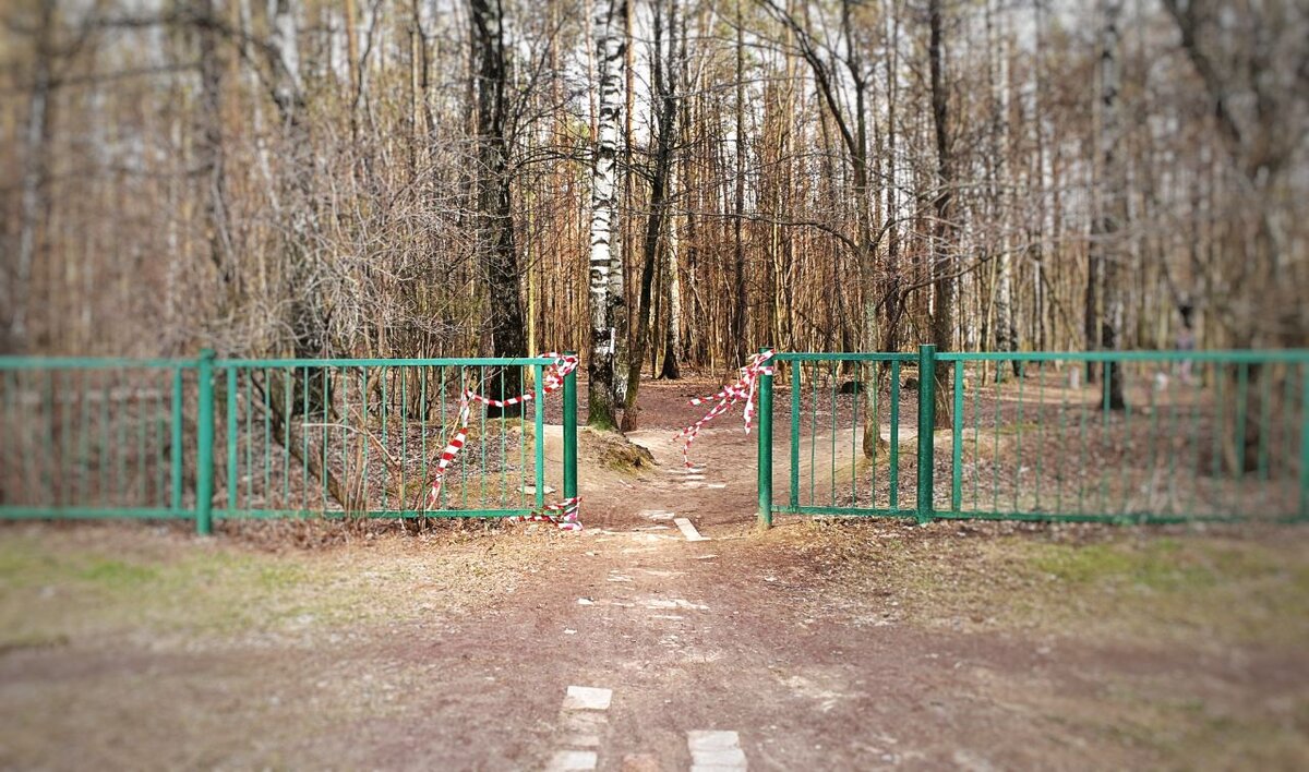 Подписывайтесь и ставьте лайк! Это поможет развитию канала