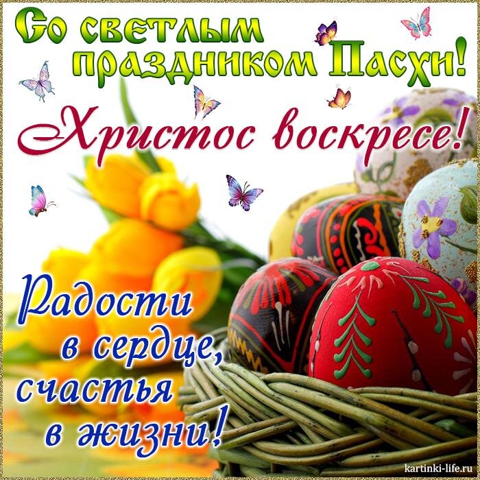 Изображение использовано из открытых источников 
