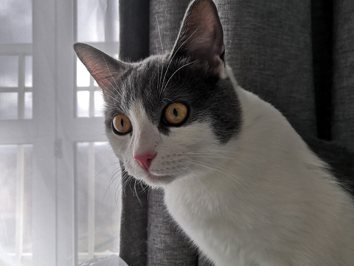 Вот чего ты меня бесишь, а?