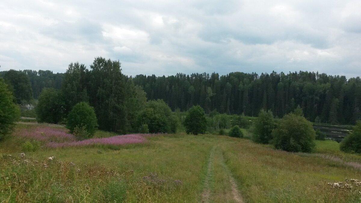 Мои соседи по деревне - какие они? Какая обстановка в деревне - безопасно  ли мне жить одной? | Карелия. Одна в деревне. | Дзен