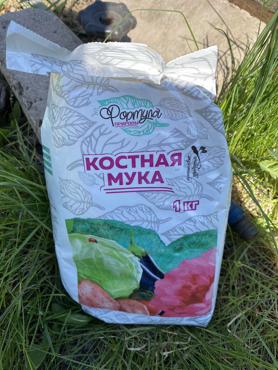 Сажаем картошку и добавляем в лунку костную муку. Нововведения на нашей ...
