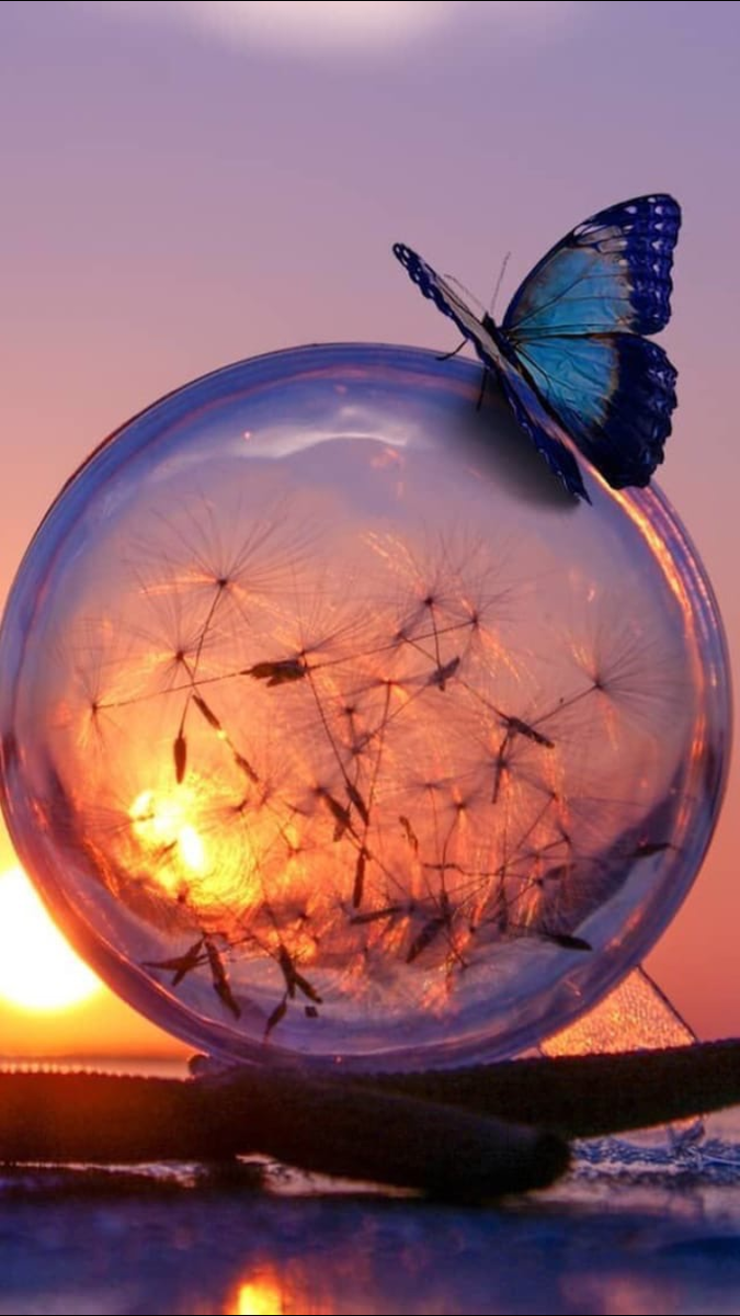 Фотографии могут не соответствовать теме пункта*