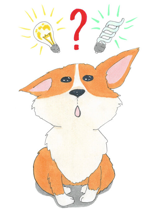 Иллюстрации @saffrontea 