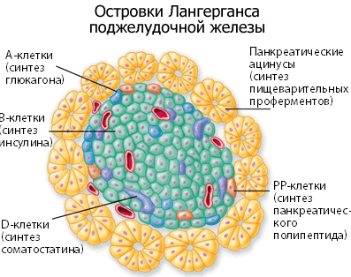 фото: www.tugulympu.ru