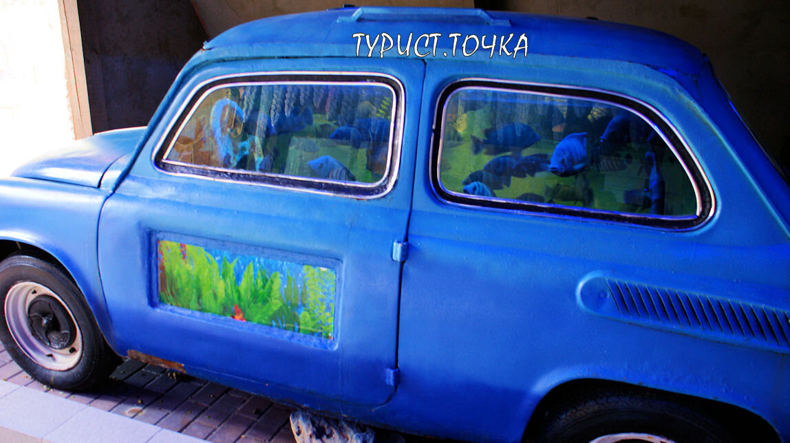 «Запорожец» - аквариум