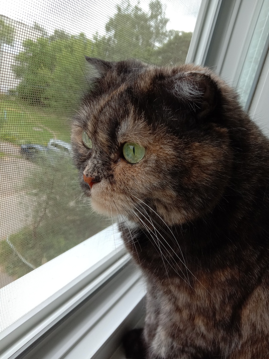 Ну и фиг с тобой, потом поймаю