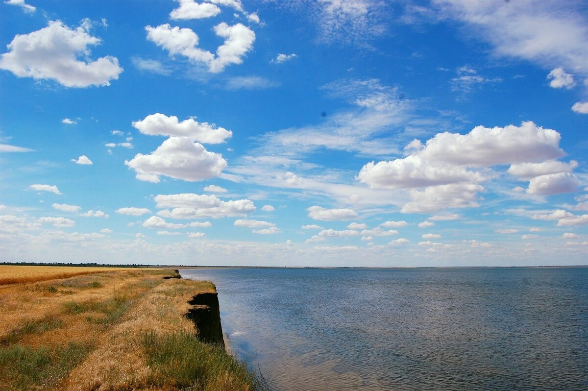 Фото Романа Высоцкого