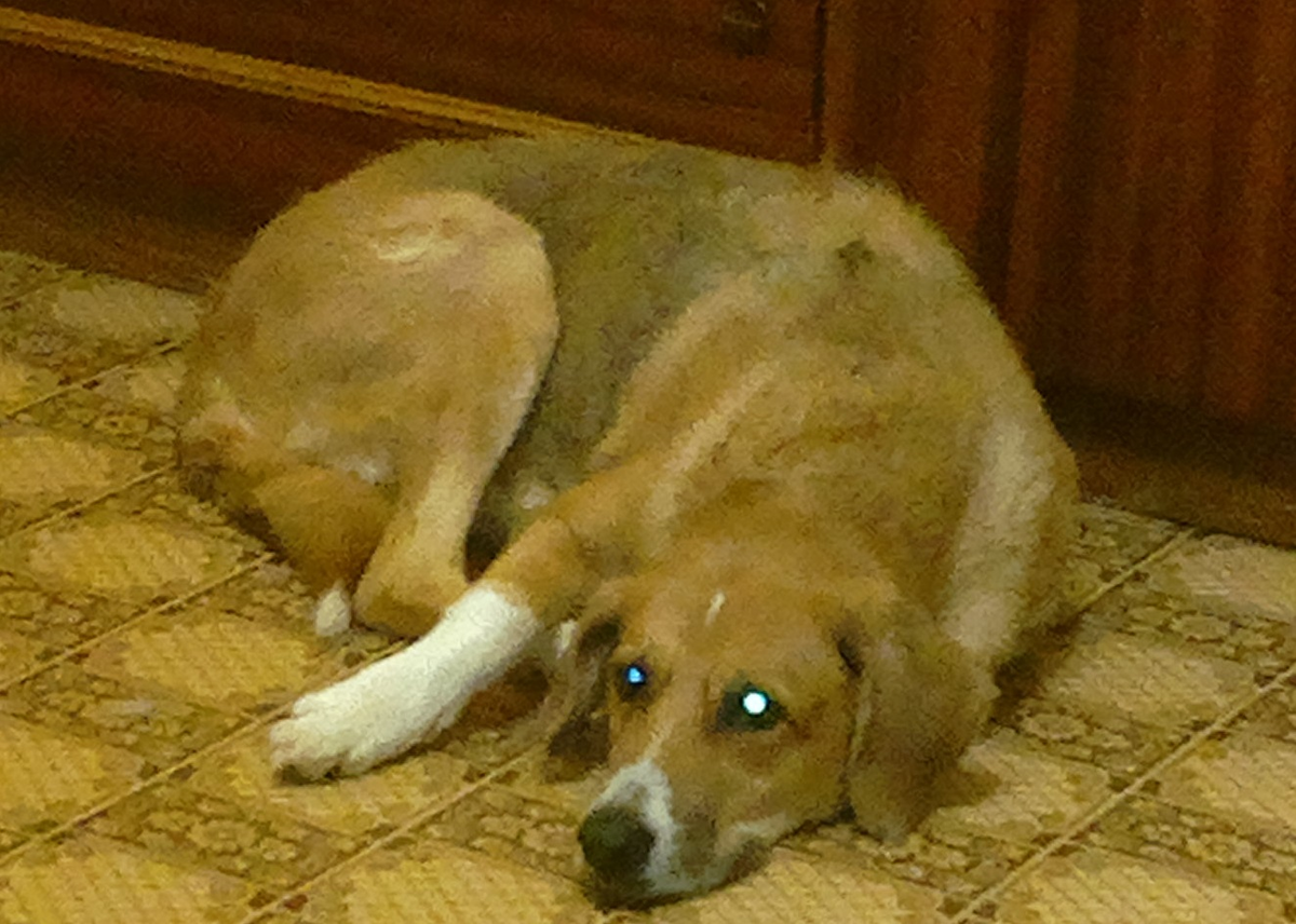 Малышка Олеся. 